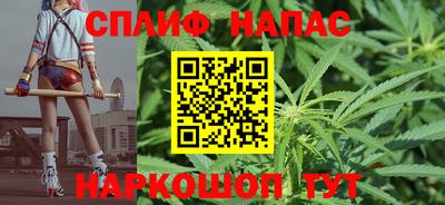сатива Краснодар