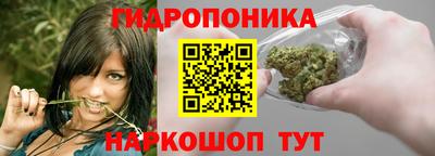 сатива Краснодар
