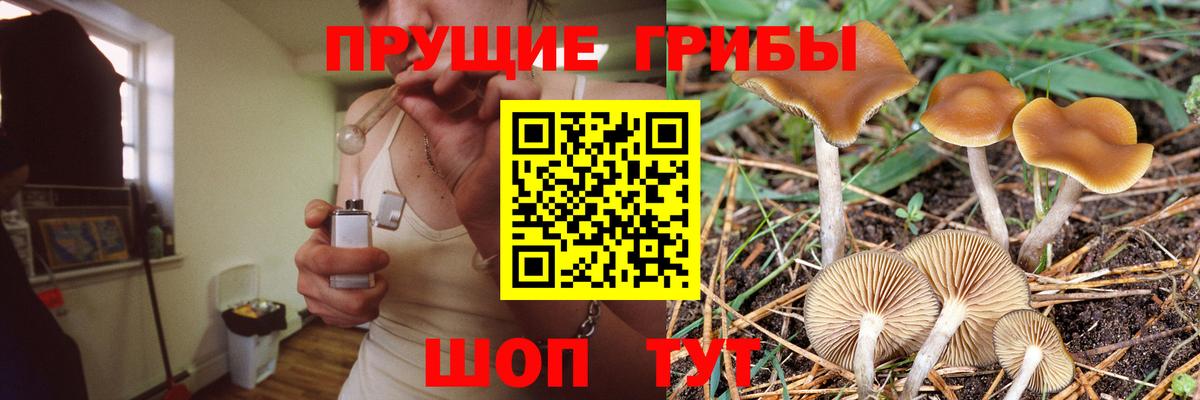 Еманжелинск  Галлюциногенные грибы прущие грибы  Вход с VPN 